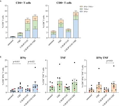 Carbamazepine Induces Focused T Cell Responses in Resolved Stevens-Johnson Syndrome and Toxic Epidermal Necrolysis Cases But Does Not Perturb the Immunopeptidome for T Cell Recognition